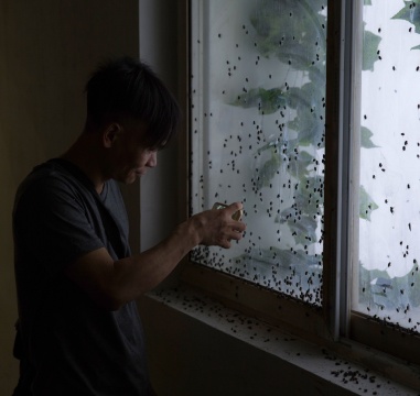 观众在布满绿豆蝇的玻璃窗前
观众在布满绿豆蝇的玻璃窗前