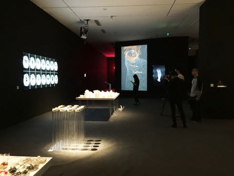 今日美术馆一号馆2层展厅呈现的是40后美国生物艺术家Suzanne Anker的作品
今日美术馆一号馆2层展厅呈现的是40后美国生物艺术家Suzanne Anker的作品