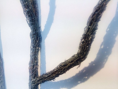 细密的铁丝相互拧结并缠绕于树枝上
