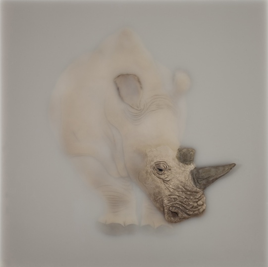 蔡磊 《它们》之二 综合媒材 70×70cm 2013
