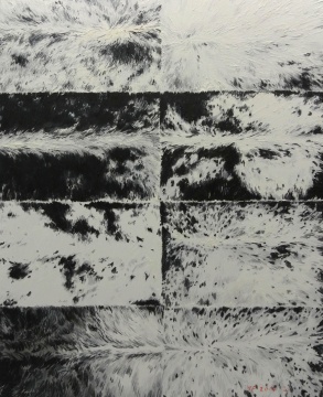 杨帆《文理5》100cm×80cm 布面油画 2014
