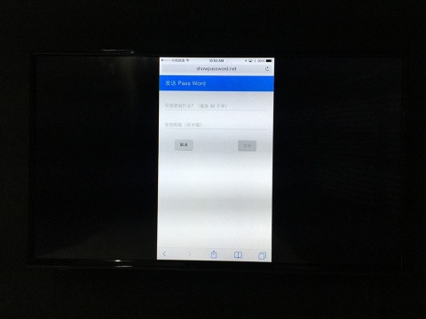 观众需要使用自己手机输入项目网站：showpassword.net，然后以匿名的形式随意输出自己想说的内容（最多30个字），点击发送完毕

