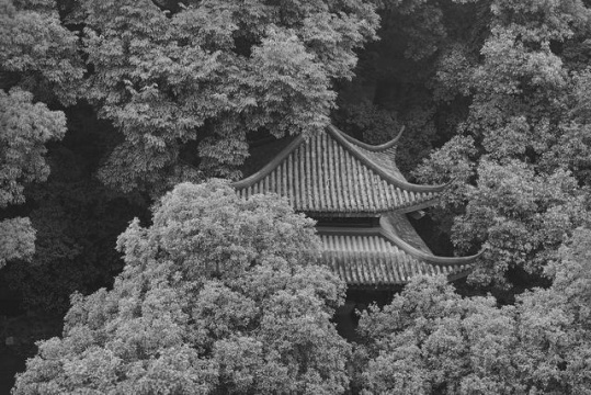 塔可《六和塔》30 x 45 cm ,12版 53 x 80 cm , 6版 泛银,硫化钡纸 2015
塔可《六和塔》30 x 45 cm ,12版 53 x 80 cm , 6版 泛银,硫化钡纸 2015