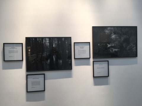 展览现场
展览现场