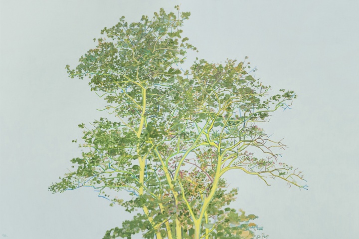 张晖《树》200×150cm×2 布面丙烯 2015
张晖《树》200×150cm×2 布面丙烯 2015