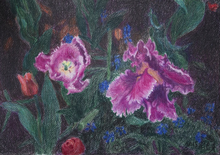 周春芽 《紫色郁金香》35.5 × 40.6cm 彩色铅笔、纸 2015
周春芽 《紫色郁金香》35.5 × 40.6cm 彩色铅笔、纸 2015