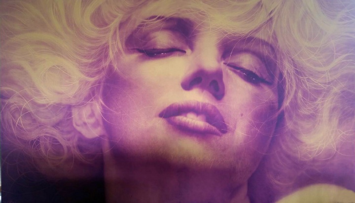 姜亨九 《Monroe》194×259cm×2件 布面油画 2015
姜亨九 《Monroe》194×259cm×2件 布面油画 2015