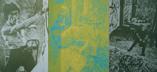 《双龙 》,1999,布面丙烯、丝网印刷,183 x 396.5 厘米。私人收藏
《双龙 》,1999,布面丙烯、丝网印刷,183 x 396.5 厘米。私人收藏