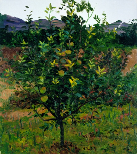 《苹果树》100x90cm 布面油画 2009
《苹果树》100x90cm 布面油画 2009