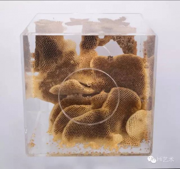 任日《元塑II #6-78》 40×40×40cm 天然蜂蜡、亚克力 2014-2015
任日《元塑II #6-78》 40×40×40cm 天然蜂蜡、亚克力 2014-2015