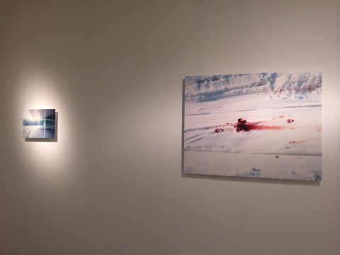 Takashi Homma作品现场
Takashi Homma作品现场