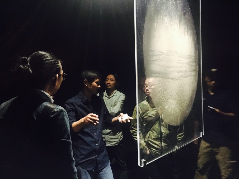 骆丹为观众导览新作的展示方式及空间效果
骆丹为观众导览新作的展示方式及空间效果