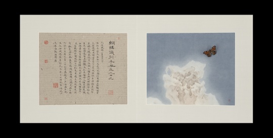 《蝴蝶手册之二十二》 30×36cm×2 纸本绘画、蝴蝶标本 2014
