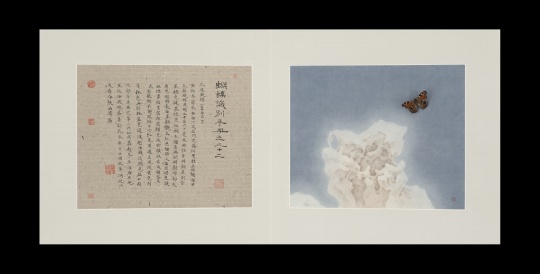 《蝴蝶手册之二十二》 30×36cm×2 纸本绘画、蝴蝶标本 2014
《蝴蝶手册之二十二》 30×36cm×2 纸本绘画、蝴蝶标本 2014