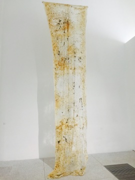 梁绍基作品《蚕山水》 上面记录了蚕的一生,有蚕丝、蚕蛹、蚕砂、蚕的尿渍
梁绍基作品《蚕山水》 上面记录了蚕的一生,有蚕丝、蚕蛹、蚕砂、蚕的尿渍