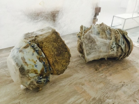 蚕丝与其缠绕的瓷片
蚕丝与其缠绕的瓷片