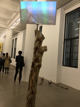 杨心广 2015年创作的装置、影像作品《无题（天地悠悠）》，作品材质为树干、钢筋、油漆、原子灰、纸
