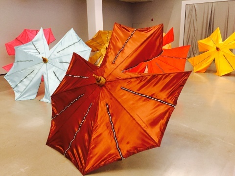 “伞”共15把，每一把“伞”由彩虹色构成，作品表面有拉链可改变作品的形状
