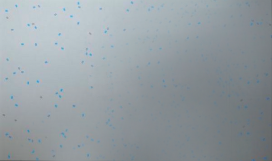 宫岛达男  《转变中的时间转变中的我—蓝风》 180×300cm  LED灯、钢框、镜片、电子器材  2007  成交价：290万港元
