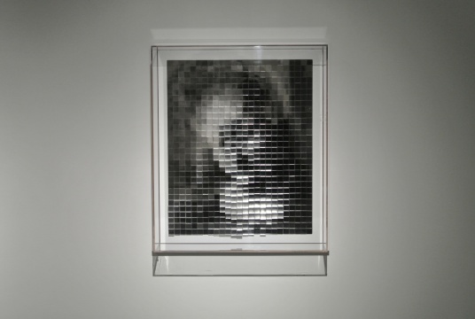 《水晶肖像》 50×60cm 亚克力 2015
