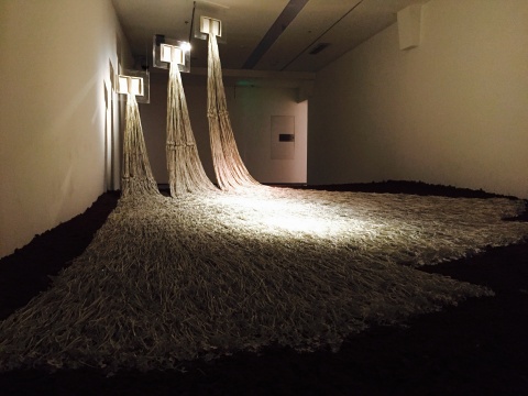 《空书.辞海》这件作品的泥土是开幕前一晚的零时才运到展厅 《空书.辞海》这件作品的泥土是开幕前一晚的零时才运到展厅