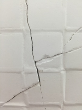 《站立》(局部) 《站立》(局部)