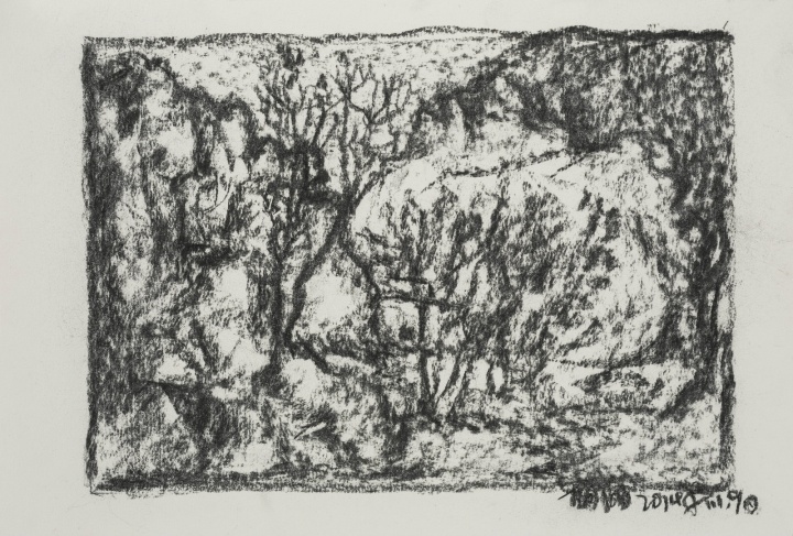 尹朝阳作品:素描纸本;21.5x30.5cm;2014年
尹朝阳作品:素描纸本;21.5x30.5cm;2014年