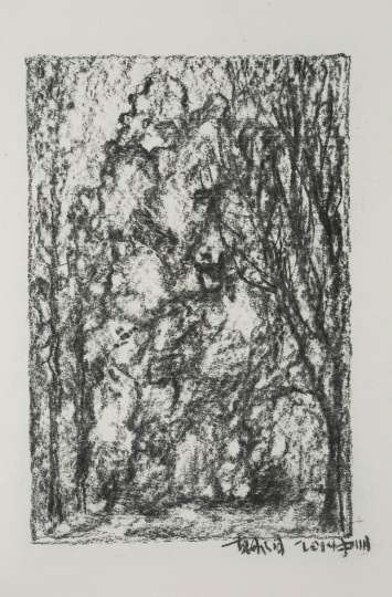 尹朝阳作品:素描纸本;30.3x20cm;2014年
尹朝阳作品:素描纸本;30.3x20cm;2014年