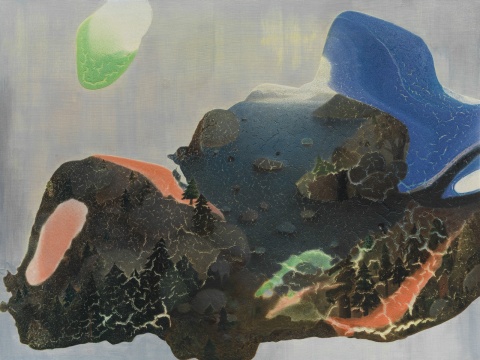 现场展出的陈可2015年新作《《带枞树的山丘》
现场展出的陈可2015年新作《《带枞树的山丘》