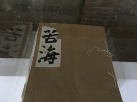《苦海》原书 《苦海》原书