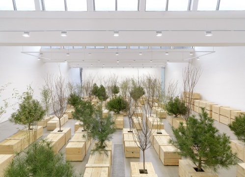 展览现场照片 “小野洋子: 金梯子”, 林冠艺术基金会 北京 2015 图片拍摄:雷坛坛 © 2015 小野洋子 © 林冠艺术基
展览现场照片 “小野洋子: 金梯子”, 林冠艺术基金会 北京 2015 图片拍摄:雷坛坛 © 2015 小野洋子 © 林冠艺术基