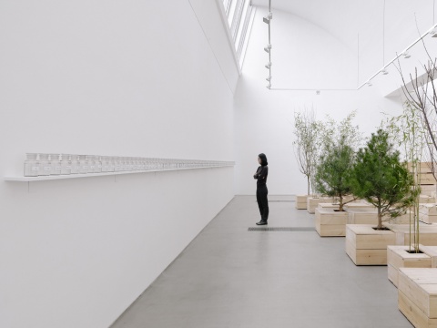 展览现场照片 “小野洋子: 金梯子”, 林冠艺术基金会 北京 2015 图片拍摄:雷坛坛 © 2015 小野洋子 © 林冠艺术基
展览现场照片 “小野洋子: 金梯子”, 林冠艺术基金会 北京 2015 图片拍摄:雷坛坛 © 2015 小野洋子 © 林冠艺术基
