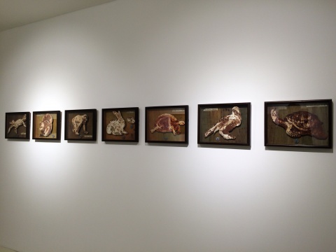 龚辰宇 《宠物标本系列》 多种尺寸 木板油画 2014 龚辰宇 《宠物标本系列》 多种尺寸 木板油画 2014
