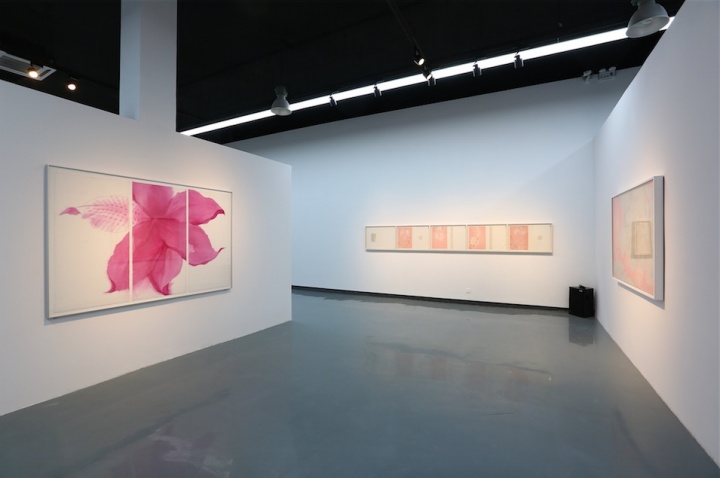 11月28日,玉衡艺术中心“微物之辞”展览现场
11月28日,玉衡艺术中心“微物之辞”展览现场