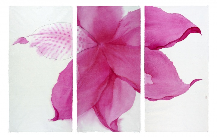 沈勤《花》140×210cm 纸本设色 2015
沈勤《花》140×210cm 纸本设色 2015