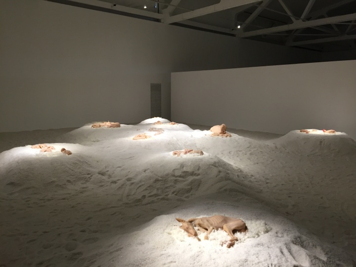 《我睡在自己身上》展览现场
《我睡在自己身上》展览现场