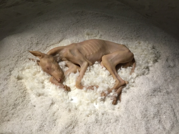沉睡的“狗”
沉睡的“狗”