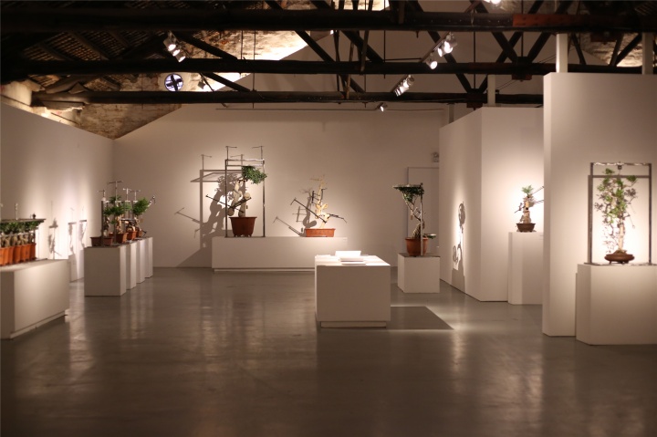 《盆景》展览现场
《盆景》展览现场