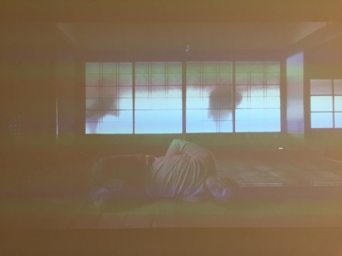 刘波+李郁2011-2013年作品《暂未命名》
刘波+李郁2011-2013年作品《暂未命名》