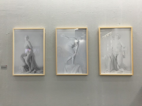 杨柳2013年作品《一个中国胖子的西方美术史》
杨柳2013年作品《一个中国胖子的西方美术史》