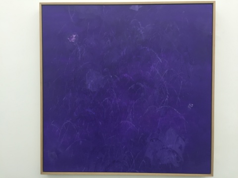 这次展览的唯一一幅抽象架上作品《蝴蝶》,是艺术家减肥时跳绳打上去的痕迹。“绘画是为了减肥,减肥是为了艺术。”
这次展览的唯一一幅抽象架上作品《蝴蝶》,是艺术家减肥时跳绳打上去的痕迹。“绘画是为了减肥,减肥是为了艺术。”