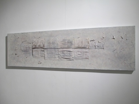 《十二本白了的书》 244×69cm 2015 《十二本白了的书》 244×69cm 2015