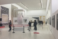 “新星星”闪耀六年 西安美术馆呈现当代艺术盛事