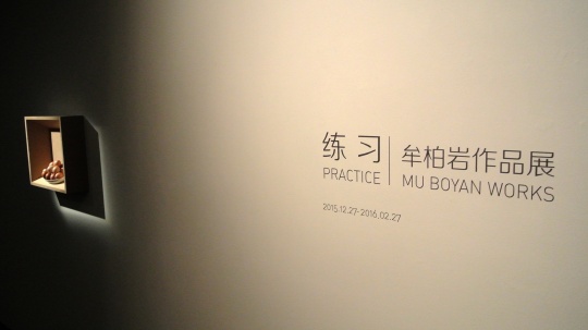 “练习”展览现场
