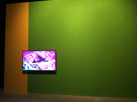 叶甫纳作品现场
叶甫纳作品现场