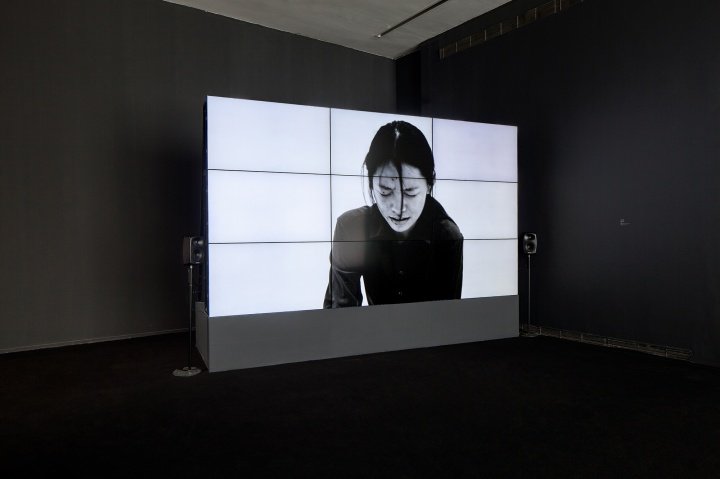 《多余的》 截图 19分50秒 单通道高清录像、彩色 展览现场 2015
《多余的》 截图 19分50秒 单通道高清录像、彩色 展览现场 2015