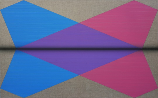 鞠方 《一页一页·双飞机》 73×118cm 布面油画 2015
鞠方 《一页一页·双飞机》 73×118cm 布面油画 2015