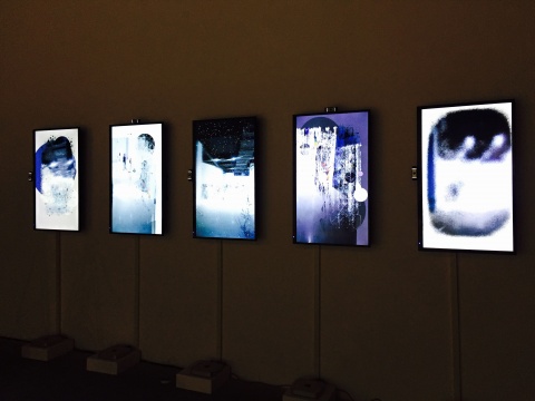 刘唱2015年交互影像装置作品 《野蛮生长》
刘唱2015年交互影像装置作品 《野蛮生长》