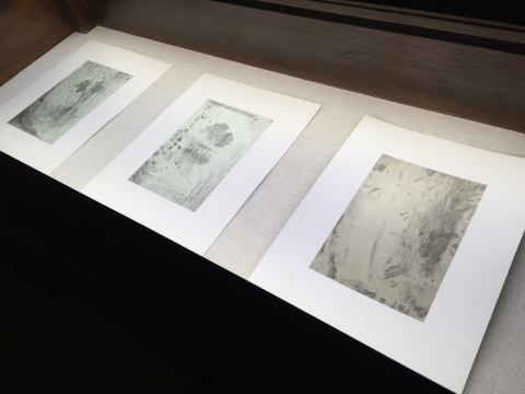 分为八组铜板版画作品的“西湖”系列
分为八组铜板版画作品的“西湖”系列