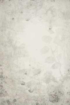 《西湖·杨公提02》 铜板版画 2014
《西湖·杨公提02》 铜板版画 2014